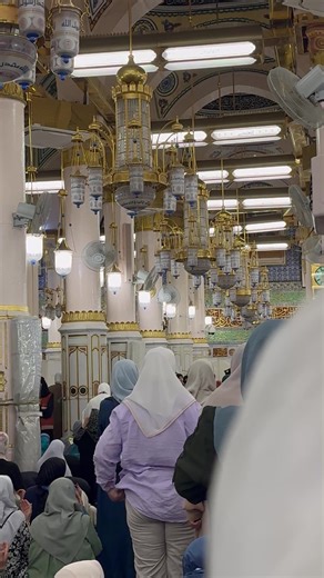 americannani101 (@americannani101)’s videos with original sound - americannani101