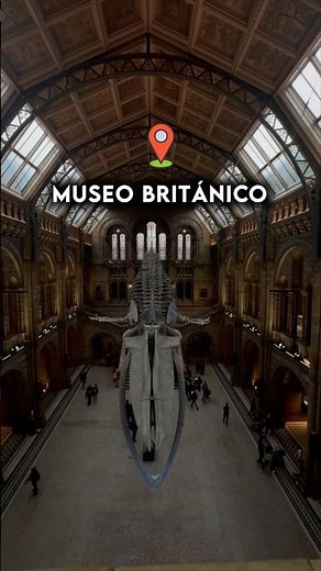 These Are The Best MUSEUMS In The World 🖼️ #art