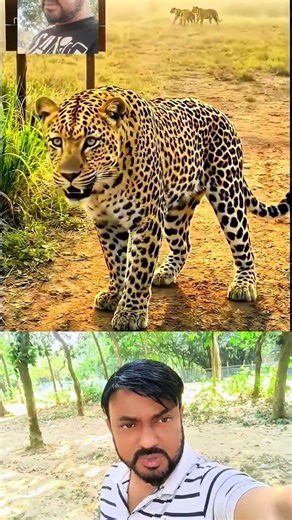 #shere #automobile #subscribe #duet #shortfeed #popularshort #duet #shortsviral #viral #reels