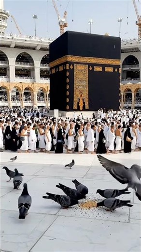 metha kabba