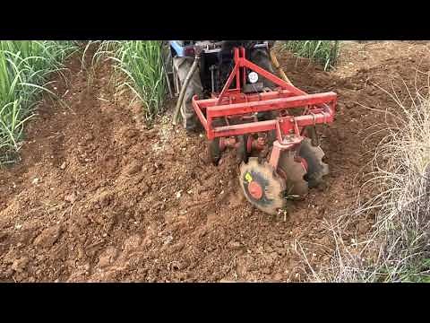 沖永良部島 農業 さとうきび栽培 イセキtm18 小型ディスクハロー 中耕追肥作業