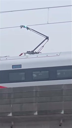 #47 🚧 Trains 🛤️ Railway 🚂 LevelCrossings 🚦 Lovers 😍 High-speed .mp4