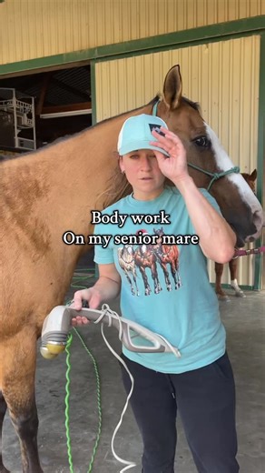 5 comments | Massaging my senior mare . She communicates very well ....