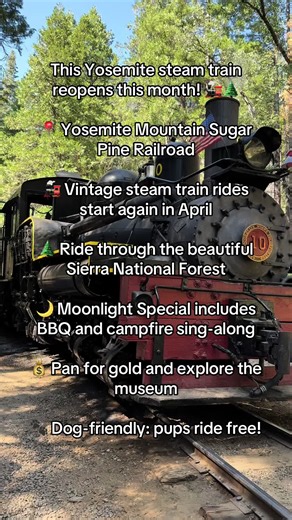 Explore Yosemite: Vintage Steam Train Rides Reopening
