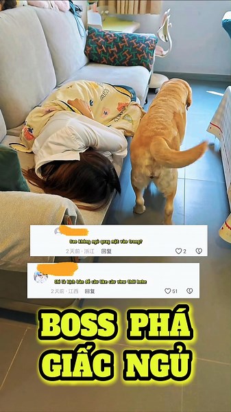 Nói Mất Ngủ Vì Cái Đuôi Không Ai Tin 😂