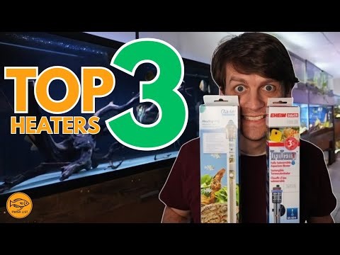 3 Aquarium Heaters I Actually Trust — And How to Use Them Right
