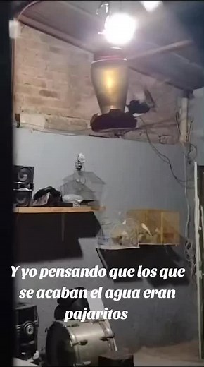 Videos de Yesenia's Glam (@090le) con “sonido original - Yesenia's Glam”