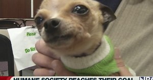 Fond Du Lac Humane Society prepares for new...