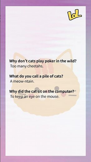 Funny Cat Jokes That Will Make You Smile 🐱