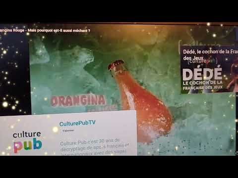 🤣😂Charlie the cat insulte humilie toute personne ayant l'audace de ne pas être du même avis que lui