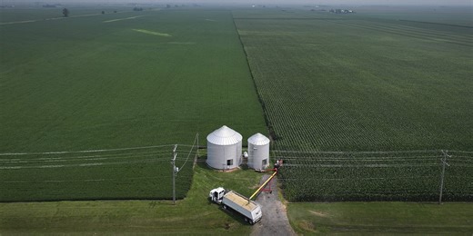 The American Farmers China Is Using as a Trade-War Bargaining Chip