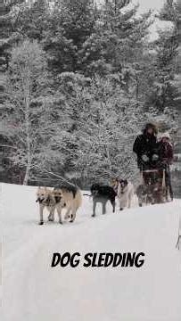 Dog sledding in Michigan's Upper Peninsula: a premier winter activity 🐕‍🛷