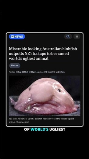 World’s Ugliest Animal | Blobfish 🐟🌊 #blobfish #facts #shorts