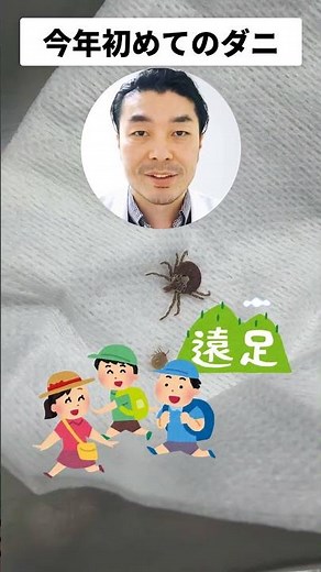 【今年初】患者さんから除去したダニを公開します#医療