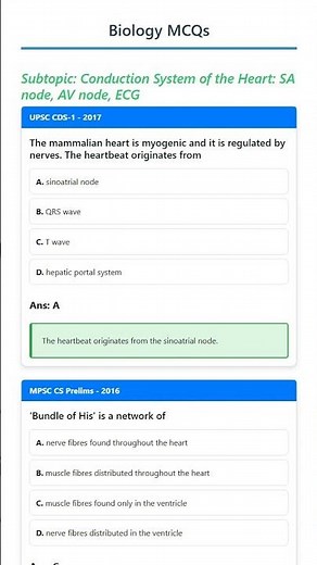 Conduction System of the Heart: SA node, AV node, ECG