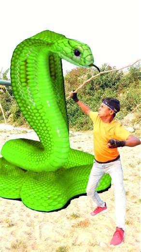 Anaconda snake in real life P217#shorts #short #snake #nagin #python #anaconda #snakes #bigsnake