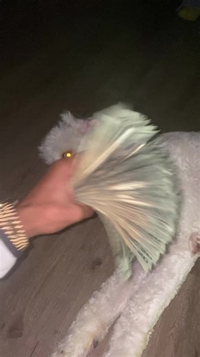 #fyp #viral #richoffairpods | richoffairpods