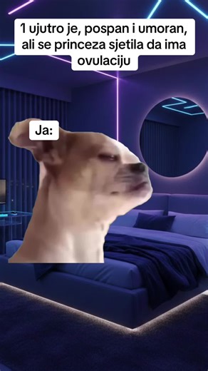 #balkan #balkantiktok #balkanfyp #fyp #viral