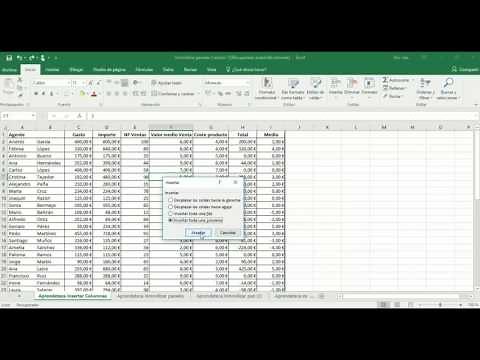 Excel 2013. Insertar filas y columnas