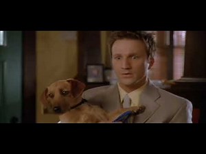 Garfield Gets Kicked From The House For Destroying The House