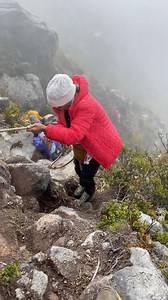 Hiking Mt. Apo isn’t for the faint of heart — but with the right mindset, preparation, and grit, you can conquer it. Ready for the grand reopening? | Explore Mt.Apo