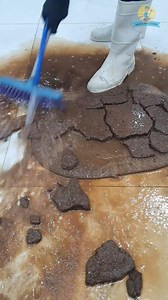 2.9M views · 34K reactions | Deep Carpet Cleaning 識✨ | Relaxing ASMR Sounds for Sleeping and De-stressing #ASMRCleaning #CarpetCleaning #SatisfyingVideo #DeepCleanASMR #RelaxingSounds #OddlySatisfying #SoapAndWater #CleaningTherapy #cleantok #SoothingASMR | Magnus Rug Cleaning | Facebook