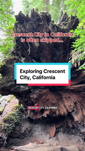Crescent city is full of hidden gems! 🤩 From giant redwoods to ocean views, local eats, and cozy stays… this Northern Californiiia spot deserves a visit!! #crescentcityca #redwoodforest #californiahiddengems #northerncalifornia #travelinspiration