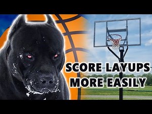 UNLOCK THE DAWG | Easiest Way To Build Touch And SCORE YOUR LAYUPS