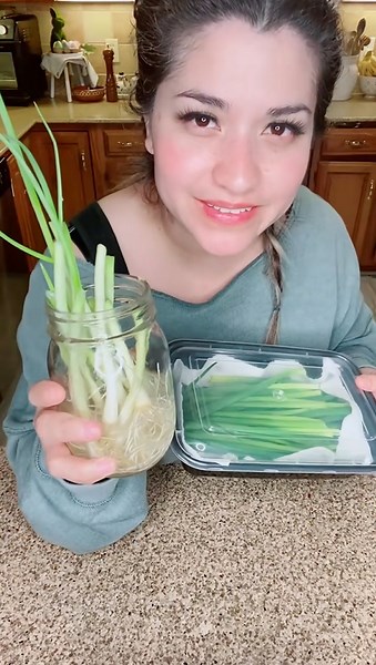 Effective Way to Store Scallions Food Hacks to Save Money