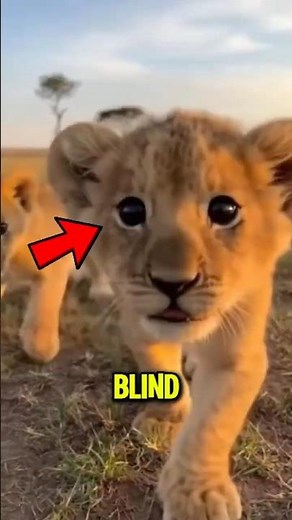 Incredible Animals Born Completely Blind 👁️🐾