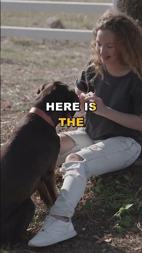 Why Pit Bulls Attack More in THIS Month