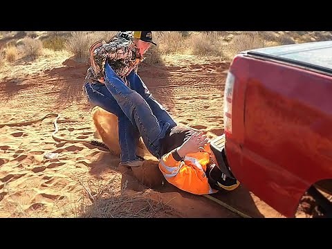 Lizzy Made The Real Rescue!