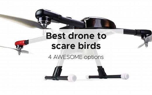Best drone to scare birds [5 awesome options]