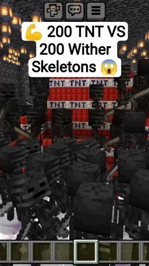200 TNT VS 200 Wither Skeletons 😱 | Who Will Win | #shorts #viral #trending #minecraft