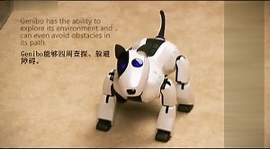 Genibo QD 高智能机器狗 能辨人会跳舞 四足机器人