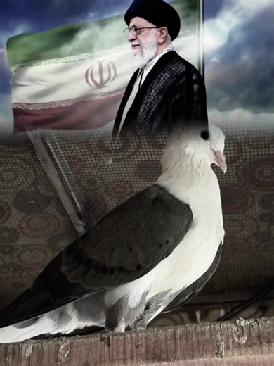 Ayaz Hussain on TikTok