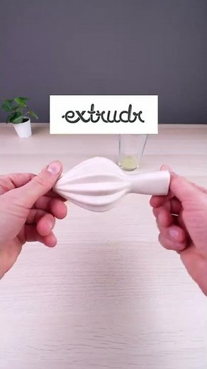 3D Printed Citrus Juicer - from Thingiverse