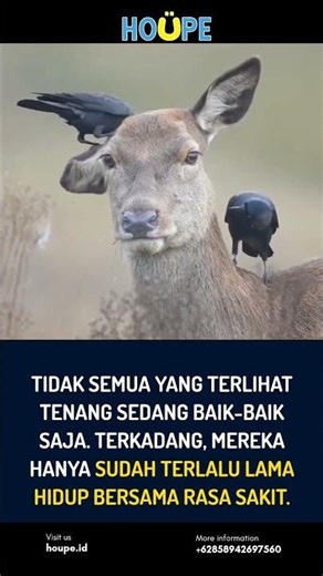 terbiasa terluka #kesehatanmental #quotes #overcomeoverthinking #podcast #nooverthinking #mental
