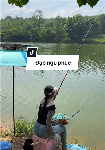 Hành trình câu đập P1 | Đập Ngũ Phúc #mayfishing #dcgr #mồicâuphúthành | Fishing