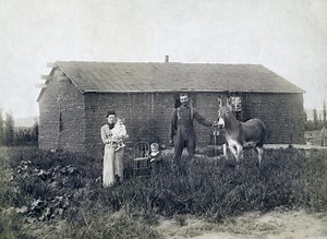 5 tips for using Google for genealogy research