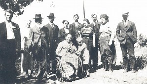 The History of the Nelson Family