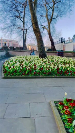 Lovely Roadside View# London