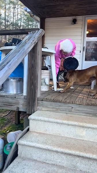 Adventures of Booboo and Chels: Fun Dog Feeding Time
