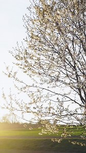 1.3K views | Do you suffer from spring allergies? Here’s how to know if it might be a bad allergy season in your region, and ways to cope with the symptoms. https://www.nbc26.com/spring-allergies-are-here-and-here-s-how-to-deal-with-them | NBC 26 | Facebook