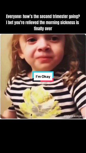Over halfway there and nausea is still going strong 🙃 #MemeCut #MemeCut #MemeCut #pregnant #pregnanttiktok #morningsickness #Meme #MemeCut