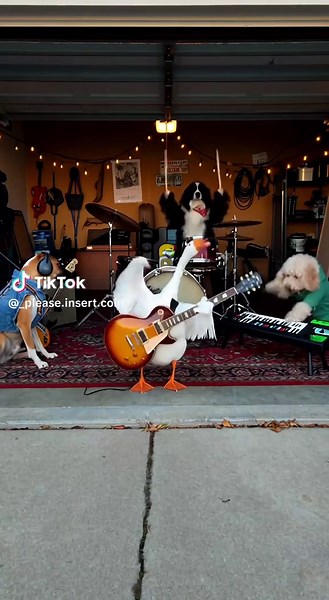 Die Ganz und der Hund haben eine Rockband 🎸 gegründet und proben in der Garage 😅😅😅 #sora #spaß #hund #fyp #tiere