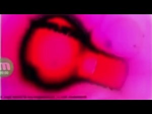 Nelvana/Nickelodeon (2009) in RjGunner111 Major