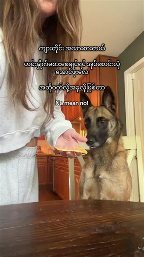 အဝတ်စားကြောင့်စိုဆိုရင် အရောင်းအဝယ် ဥပဒေတွင် လက်မခံသည့် အခြေအနေများ