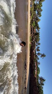 705K views · 5.7K reactions | ❤️❤️ | Jyothi | Facebook