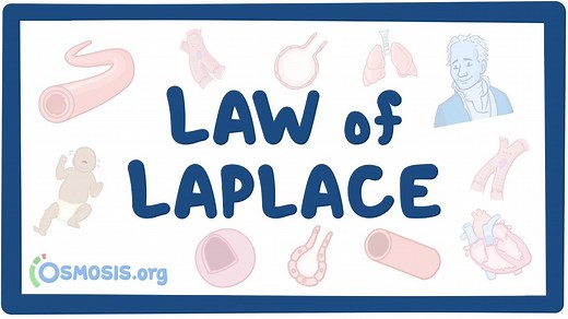 Law of Laplace in Physiology and Heart | Osmosis